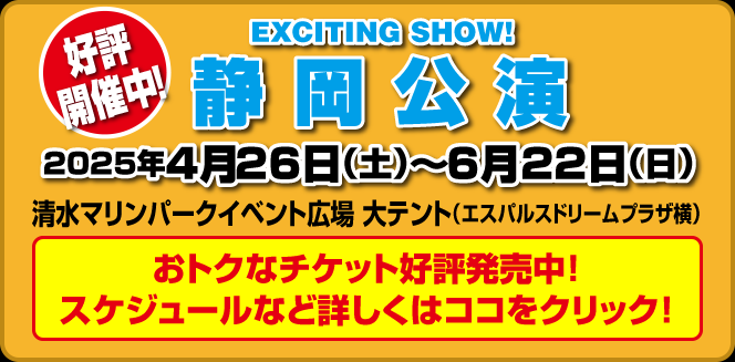 静岡公演